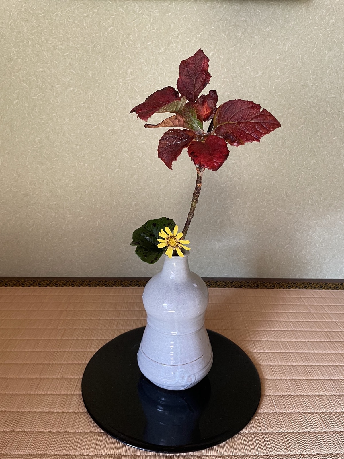 高梁のお菓子